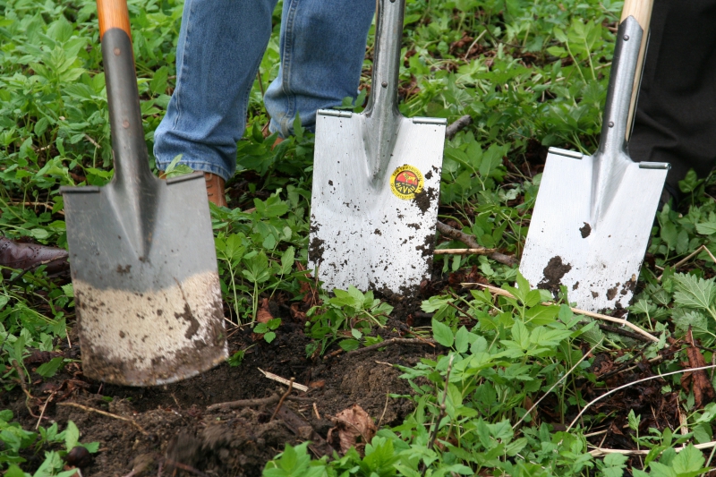 pepiniere-LA GARDE FREINET-min_work-lawn-flower-tool-green-backyard-1103633-pxhere.com